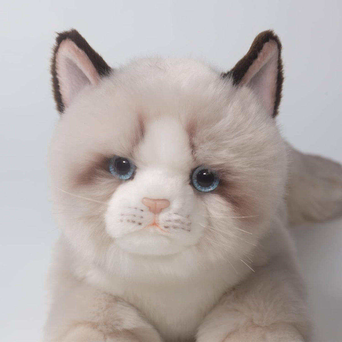 20" Realistic Handmade Gray Ragdoll Cat Plush with Box