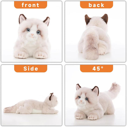 20" Realistic Handmade Gray Ragdoll Cat Plush with Box
